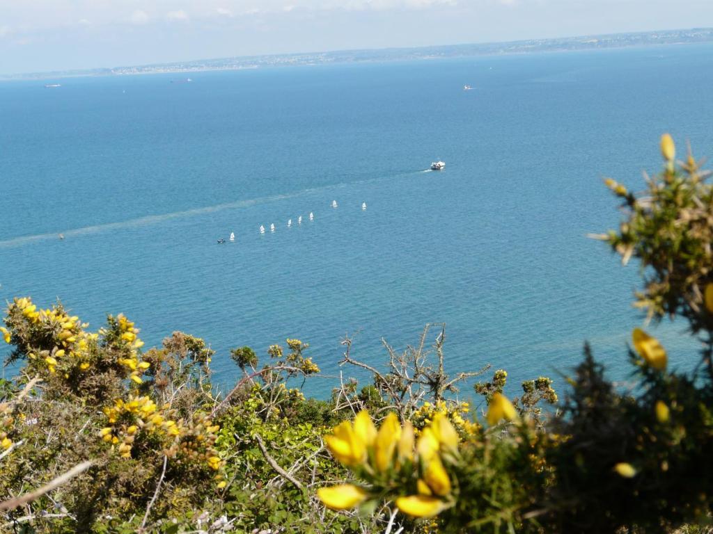 Des Rosaires